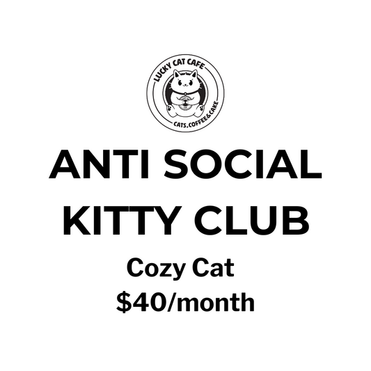 Cozy Cat Membership – $40/month