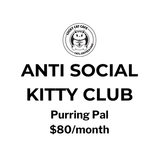 Purring Pal Membership – $80/month