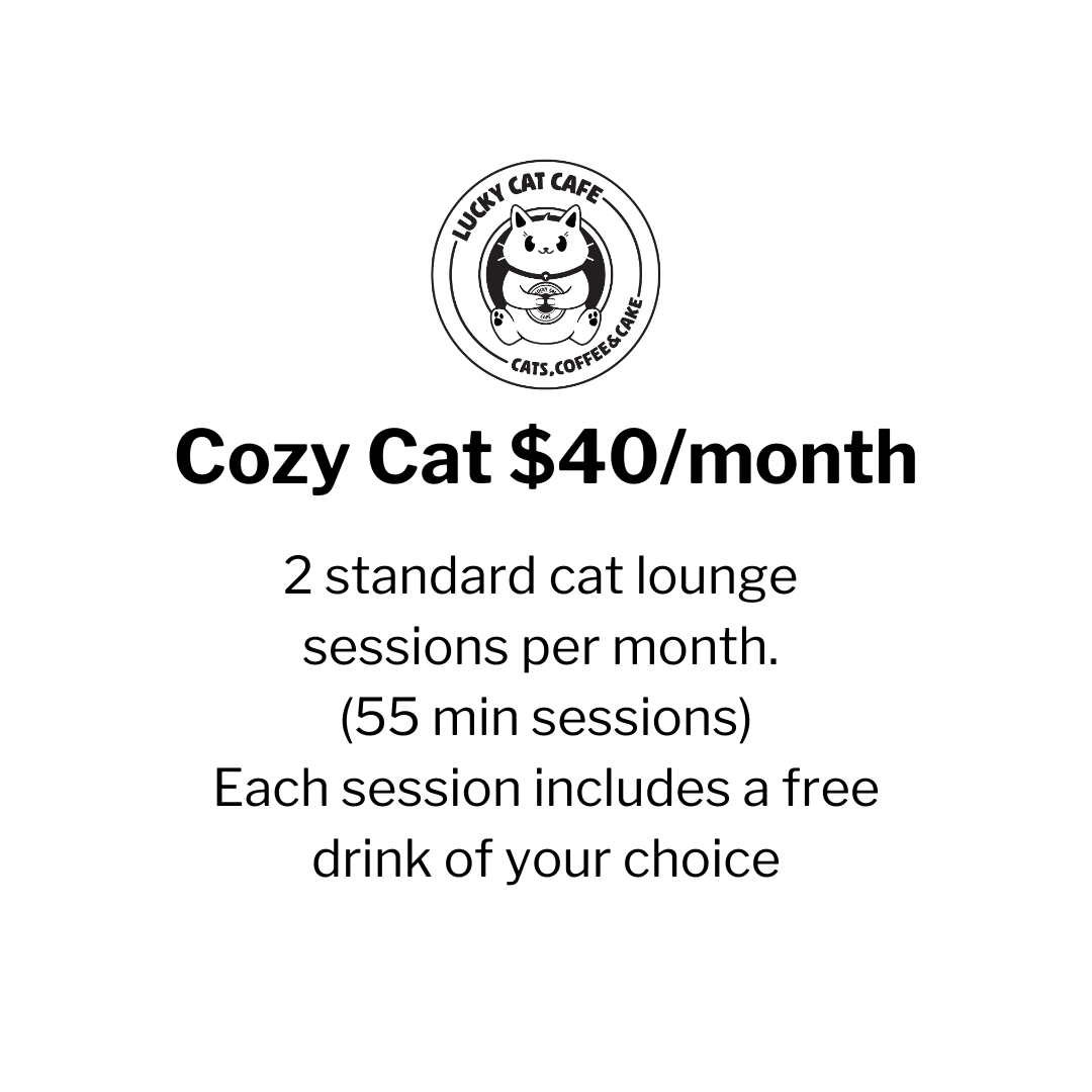 Cozy Cat Membership – $40/month