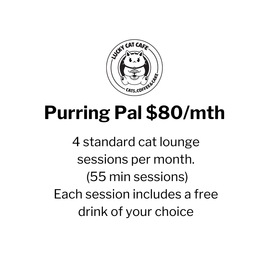 Purring Pal Membership – $80/month