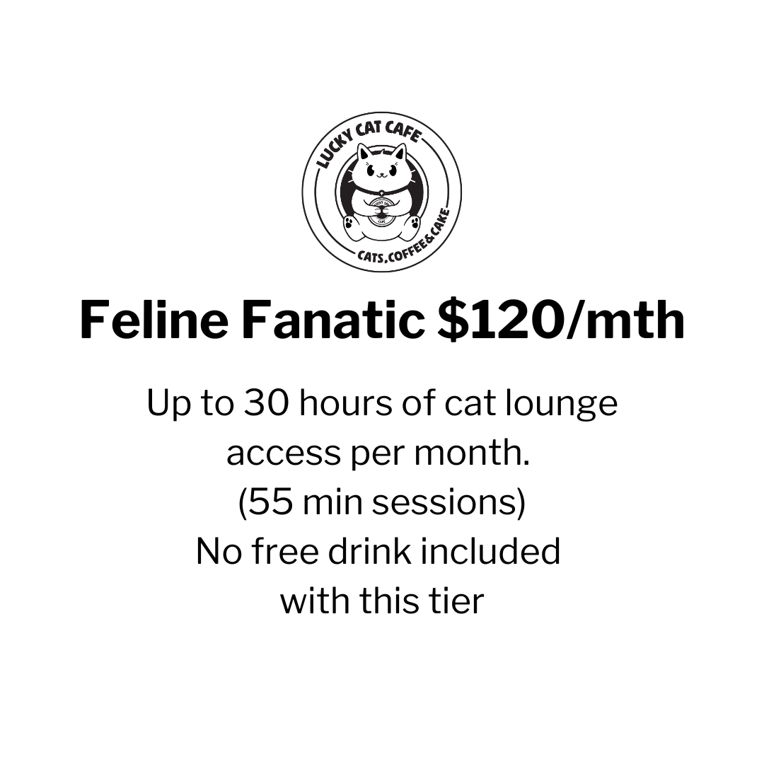 Feline Fanatic Membership – $120/month